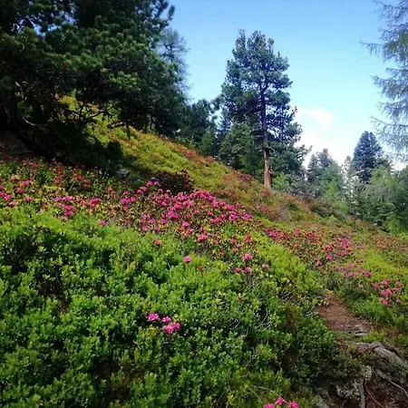 Ferienhaus Edelweiss Riding Stable Alpine
