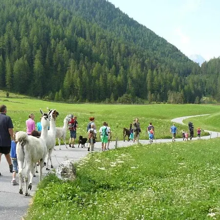Edelweiss Riding Stable Alpine Ferienhaus