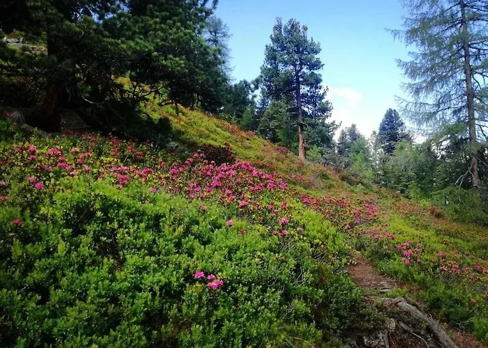 Nyaraló Edelweiss Riding Stable Alpine