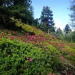 Holiday home Edelweiss Riding Stable Alpine