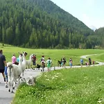 Edelweiss Riding Stable Alpine Holiday home